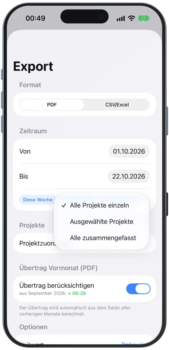 „Projektzuordnung“